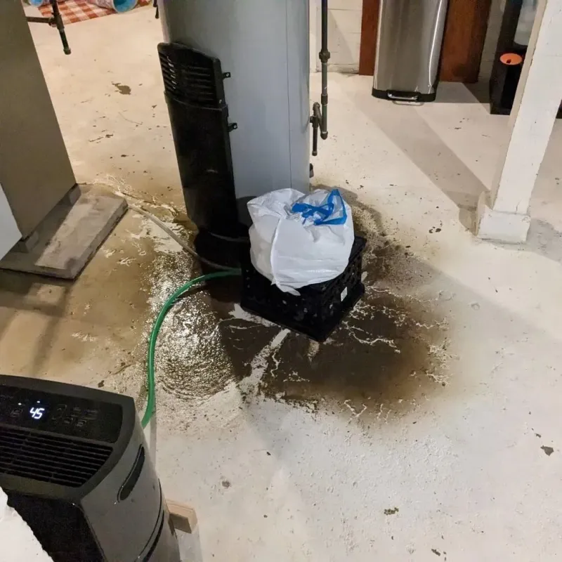Sewage Backup Cleanup Service in Strasburg, CO
